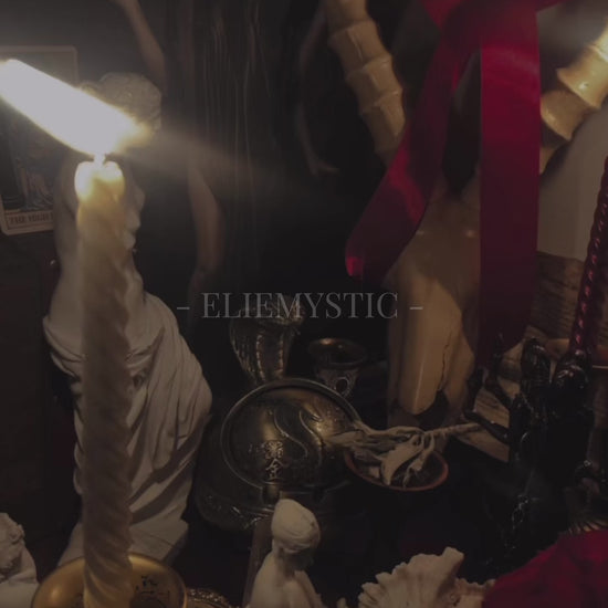 A video showing a small excerpt from one of Elie Sireth's altars. It shows a skull, a scorpion, demon sigils, sacred stones, a feather, a potion, roses and more.